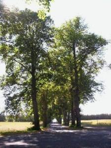 vi101_3202.jpg