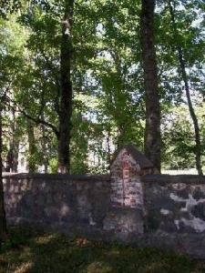 vi101_3203.jpg