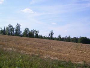 vi101_3205.jpg