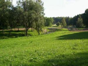 vi101_3227.jpg
