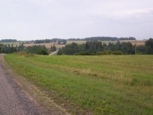 pa101_3301.jpg