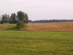 pa101_3306.jpg