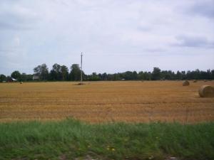 pa101_3377.jpg