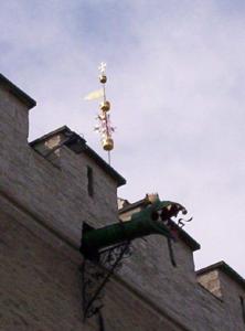 a-rat101_3464.jpg