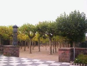 d_hain_101_4554k.jpg