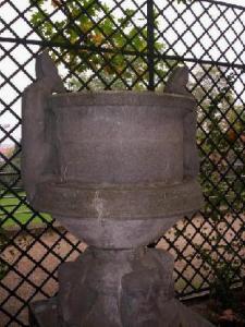 d_schakal_101_4577.jpg