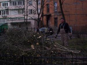 baum101_5006-70.jpg