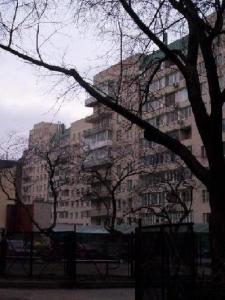 baum101_5007-70.jpg