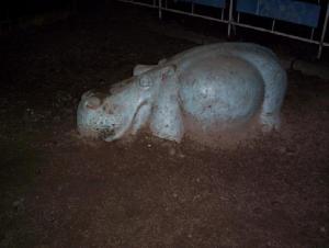 tiere101_5125.jpg