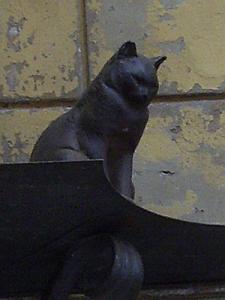 Piter2007_29.jpg