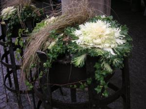 fam_finswden-006.jpg