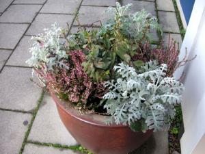 fam_finswden-037.jpg