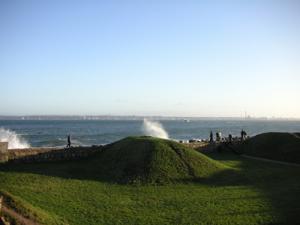 fam_finswden-050.jpg