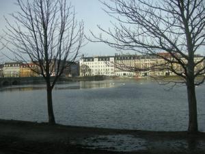fam_finswden-089.jpg