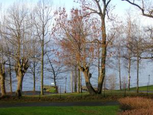 fam_finswden-116.jpg