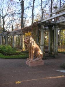 Fam_Lion.jpg