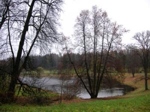 FAM_Pavlovsk2.jpg