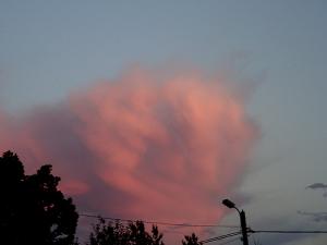 Fam-Cloud-pink.jpg