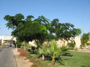FamHurgada-16.jpg