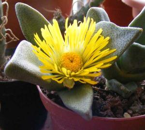 2008_01010036.jpg