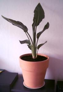 PICT0076.JPG