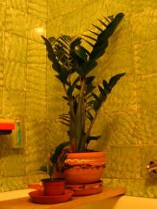 16.01.07_006.jpg