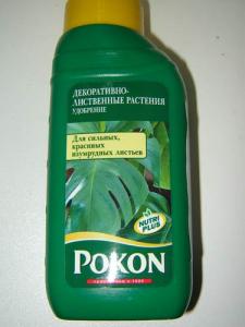 Musja_Pokon.jpg