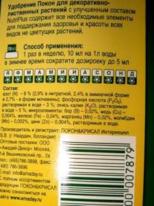 Musja_Pokon001.jpg