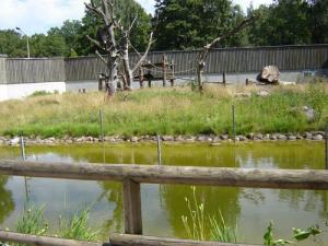 Musja_Zoo006.jpg