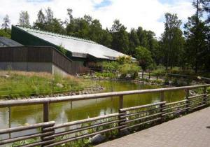 Musja_Zoo016.jpg