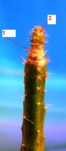DSCF5580.jpg