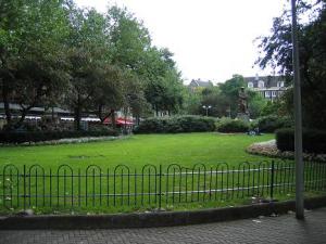 Fialkina_IMG_1547111.JPG