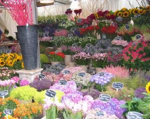Fialkina_IMG_1701.JPG