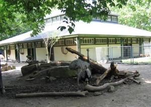 Fialkina_IMG_1677.JPG