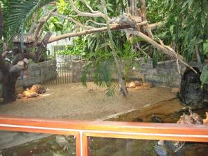 Fialkina_IMG_162011.JPG