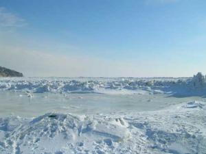 inna_winter5.jpg
