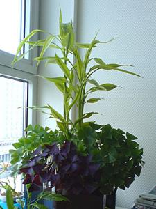 Lena_230407.jpg