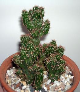 LUDSCN6875.jpg