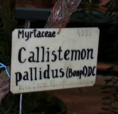 LUDSCN9833.jpg