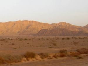 LU2008_oct634.jpg