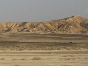 LU2008_oct650.jpg