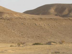 LU2008_oct654.jpg