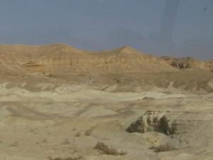 LU2008_oct685.jpg