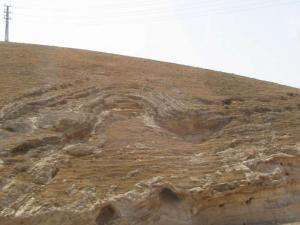 LU2008_oct793.jpg