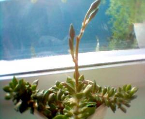 050824_180305.jpg