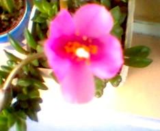 050907_132834.jpg