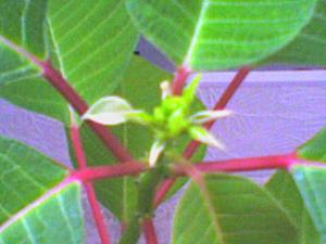 DSC00624.JPG