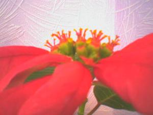 DSC00712.JPG