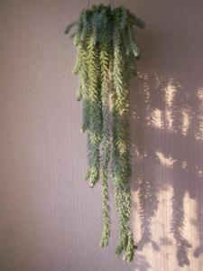 100_1623.JPG