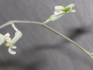 IMG_0296.jpg